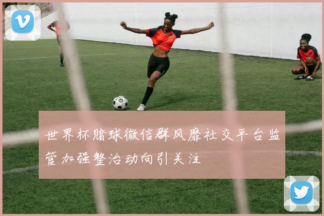 世界杯赌球微信群风靡社交平台监管加强整治动向引关注