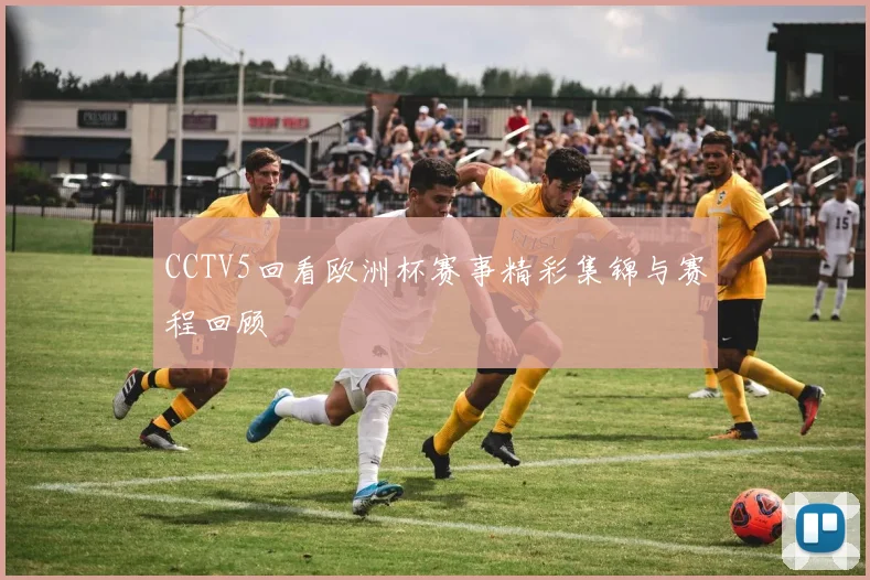 CCTV5回看欧洲杯赛事精彩集锦与赛程回顾