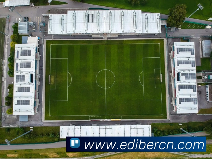 开云app登录入口app服务体系